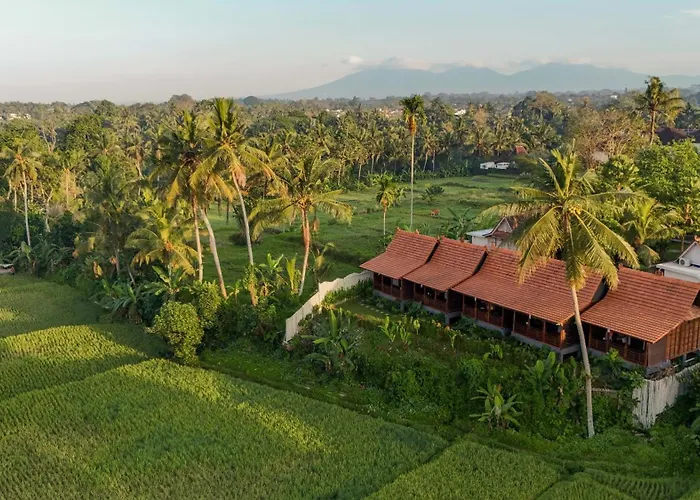 Hotel Artropeace Retreat &
