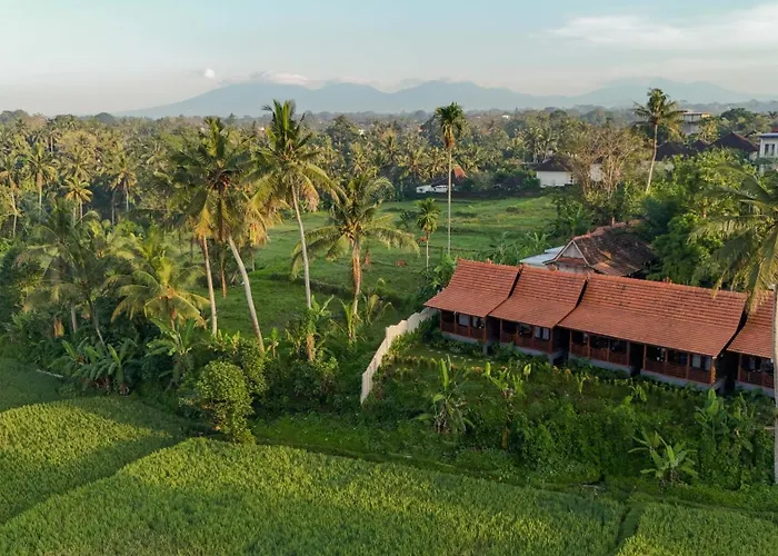 Artropeace Retreat & Hotel